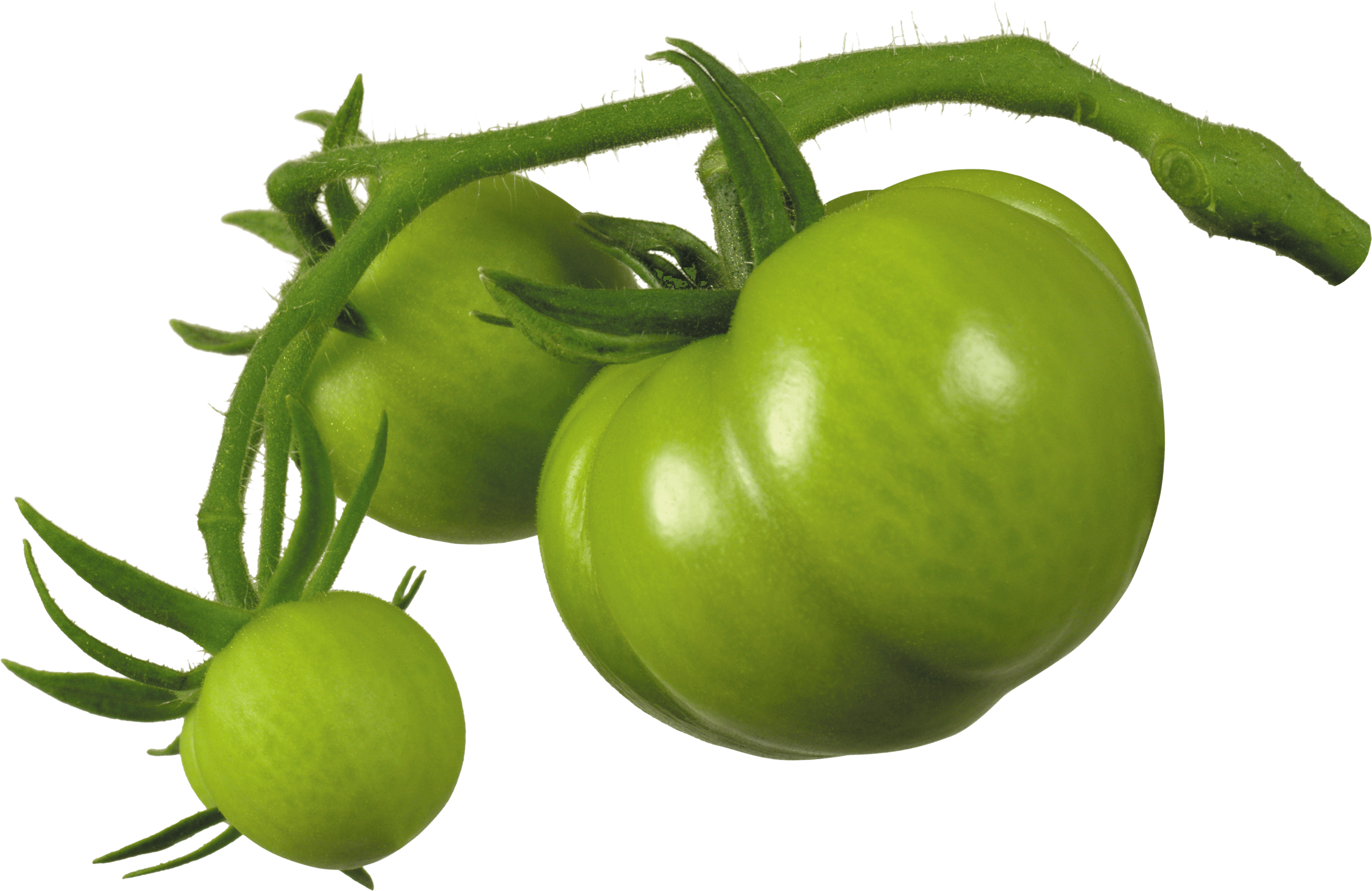 Tomato Protein Vegan Kale Transformation PNG