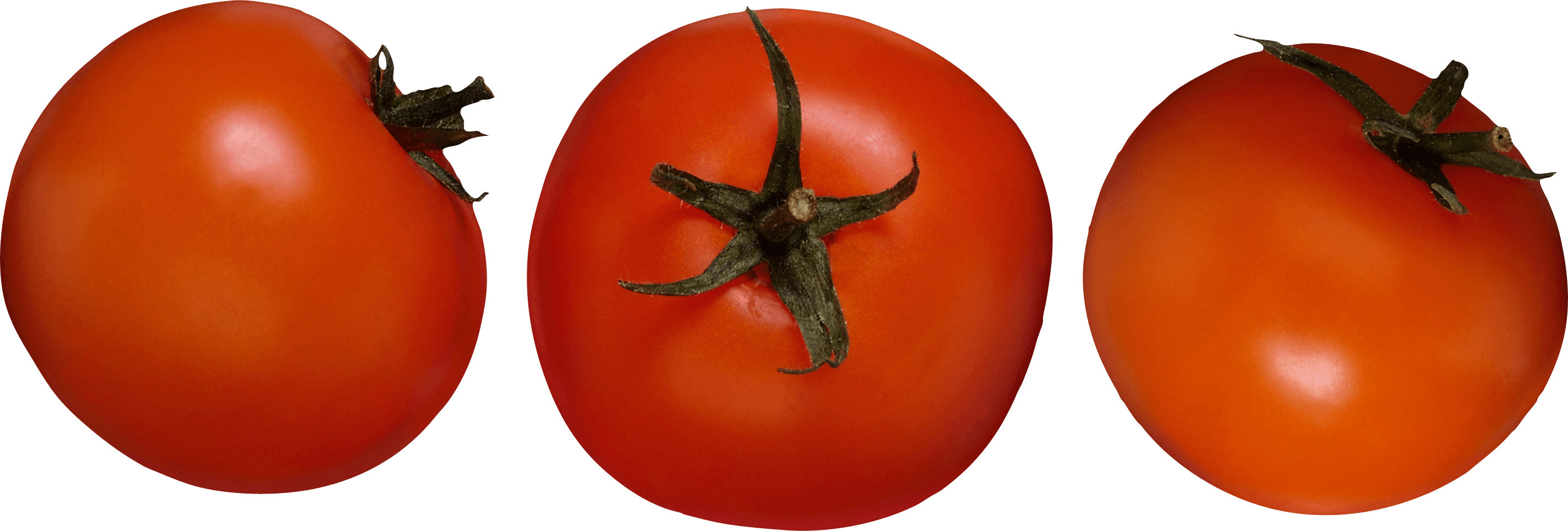 Lettuce Zucchini Kale Parsley Tomato PNG