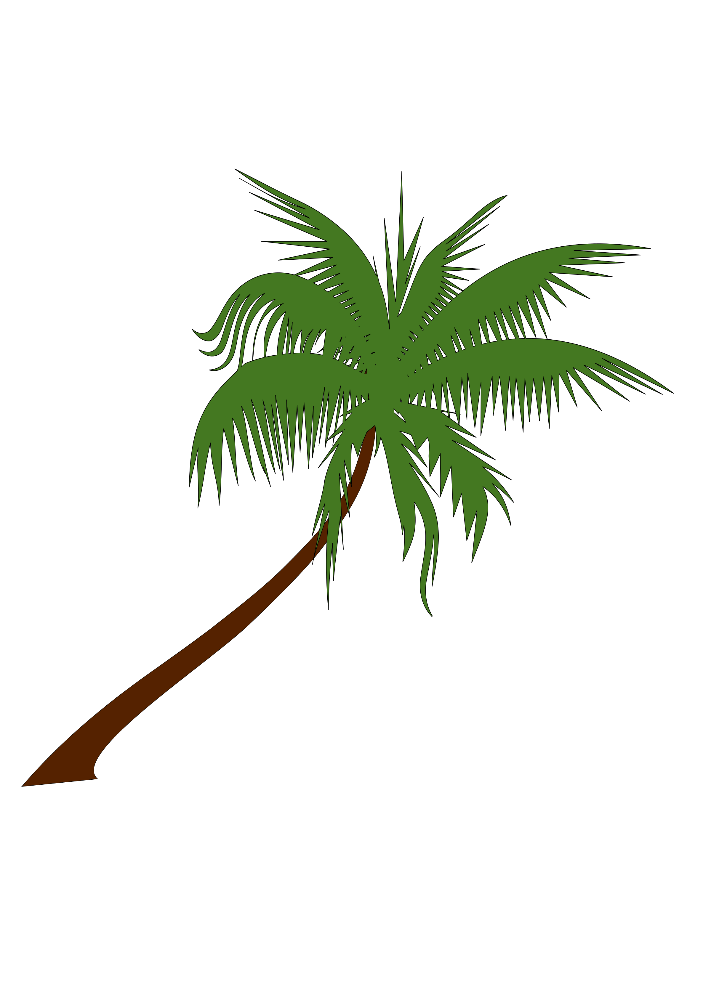 Hair Tree Liberty Sunset Plant PNG