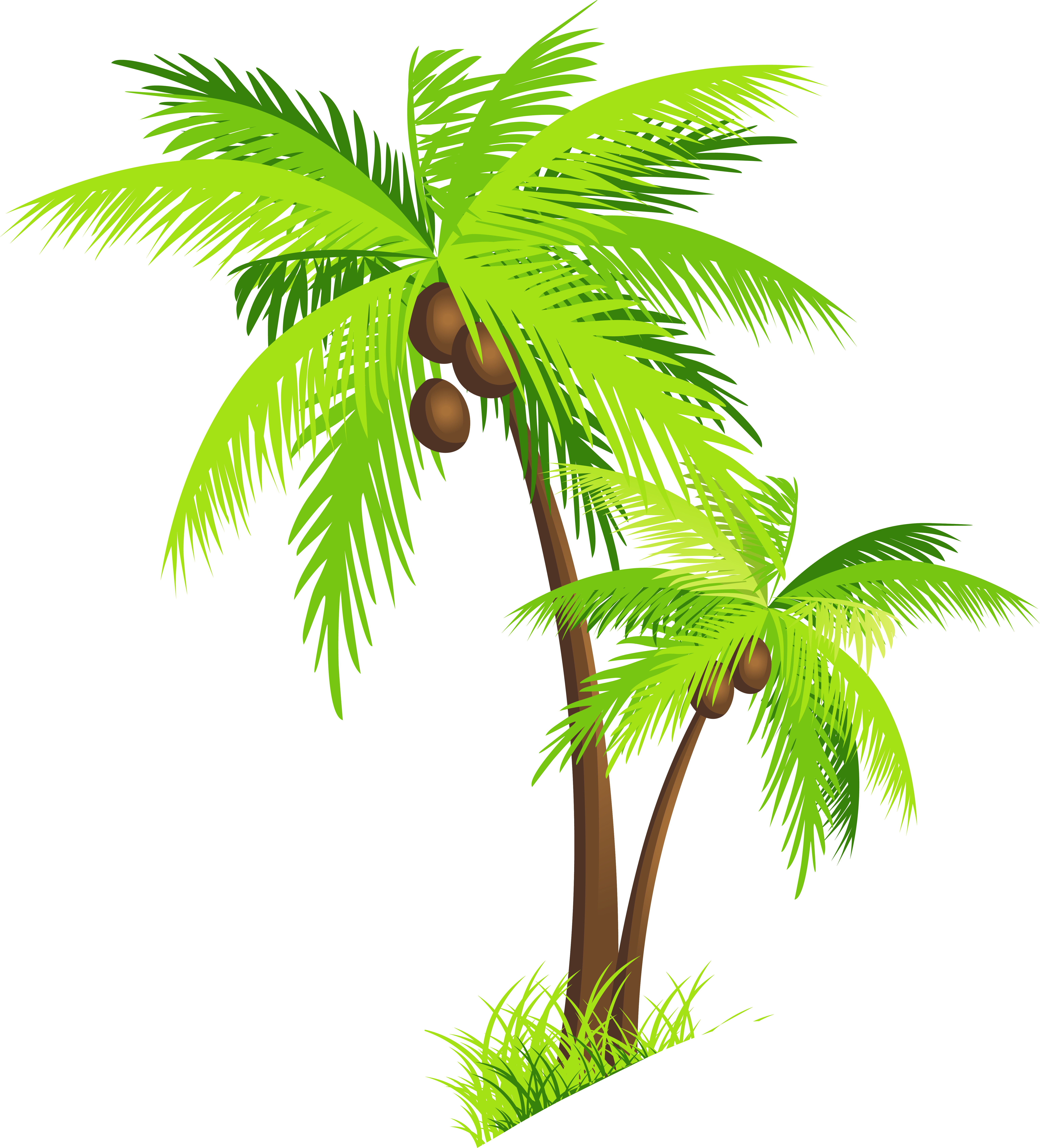 Fun Like Maple Coconut Funny PNG
