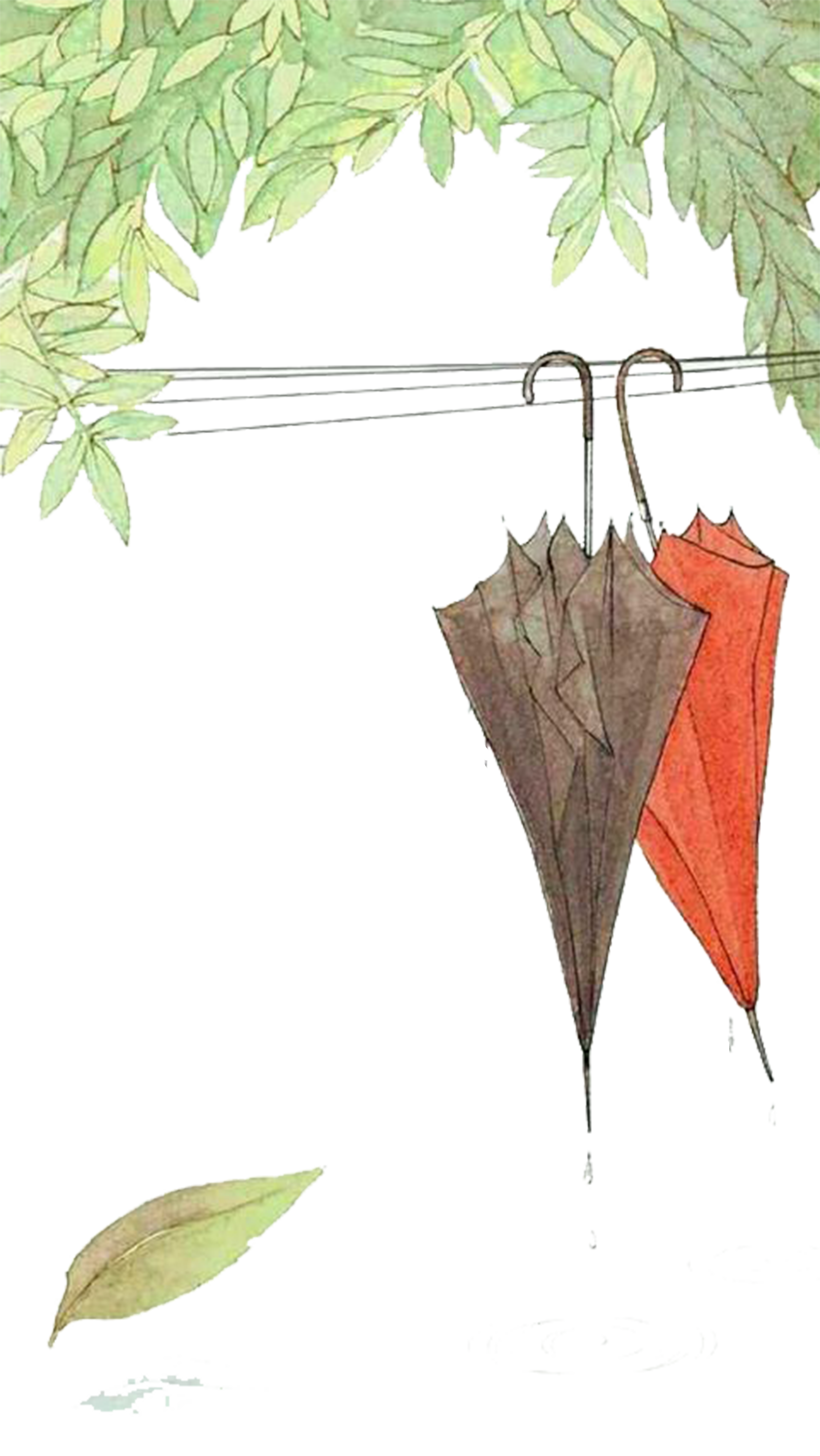 Leaf Plant Angle Branch Watercolor PNG