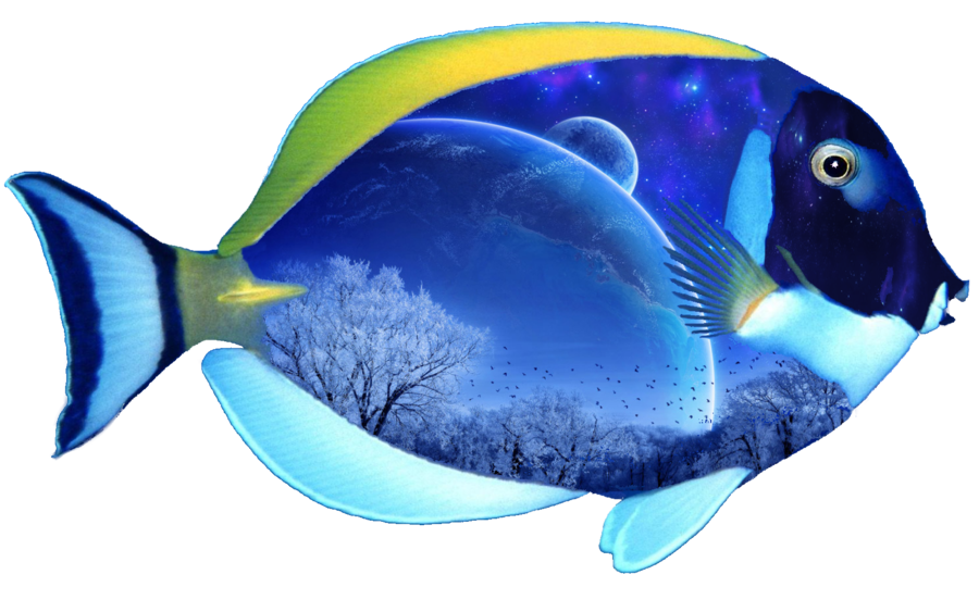 Figurative Albino Fish Swordfish Fisheries PNG