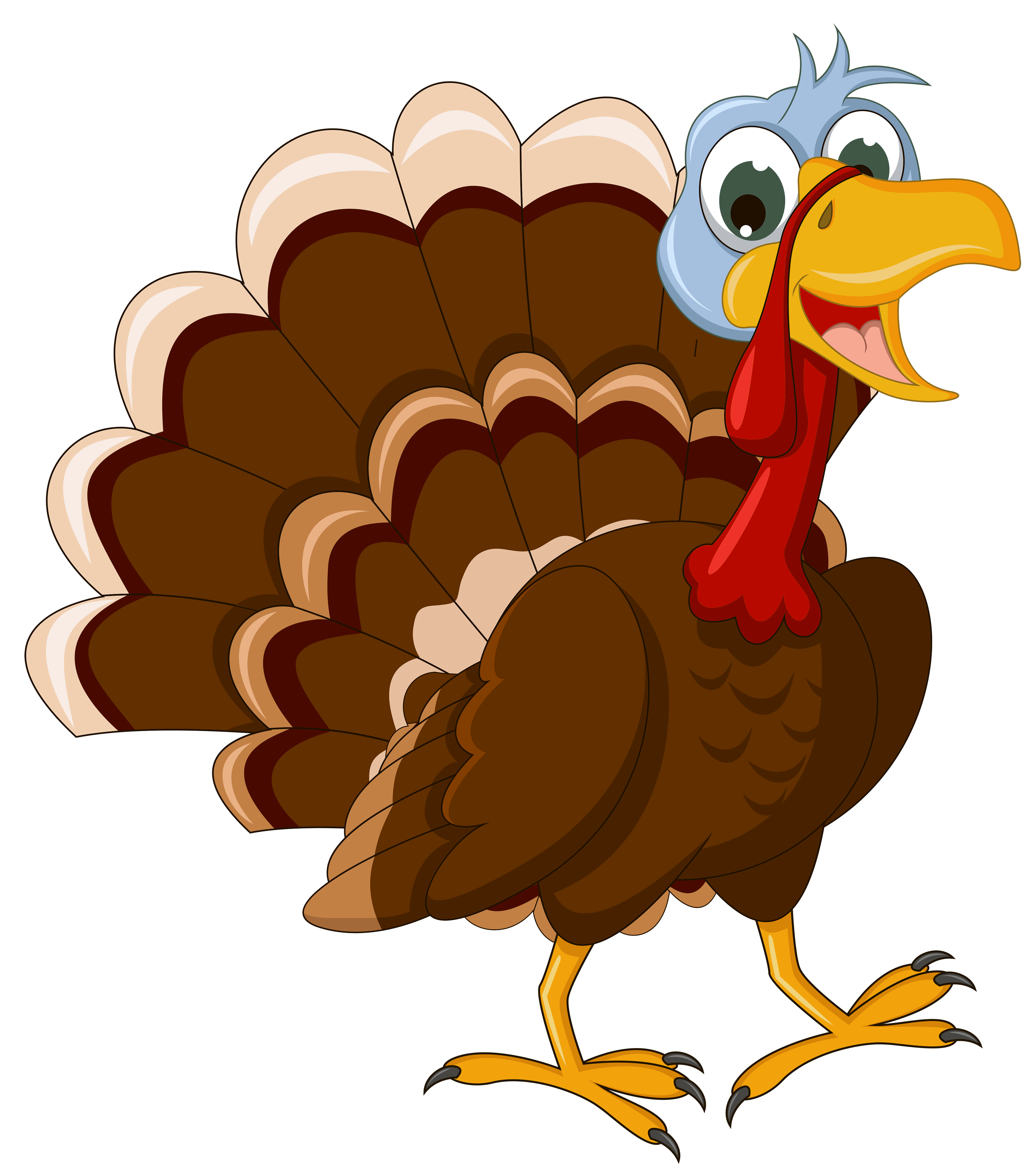 Cute Animal Duck Animals Turkey PNG