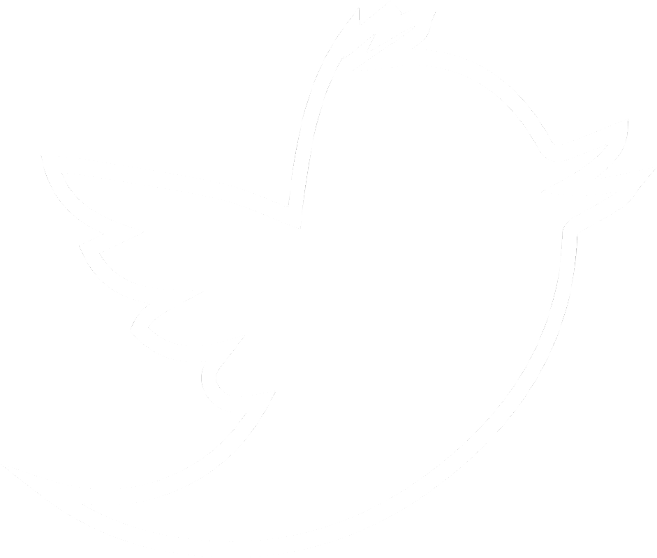 Twitter Angle Logo Rectangle White PNG