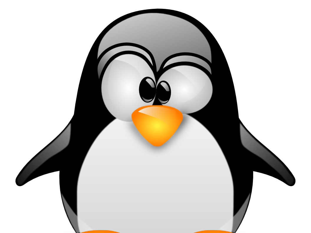 Kernel Penguin Linux Unix Installation PNG