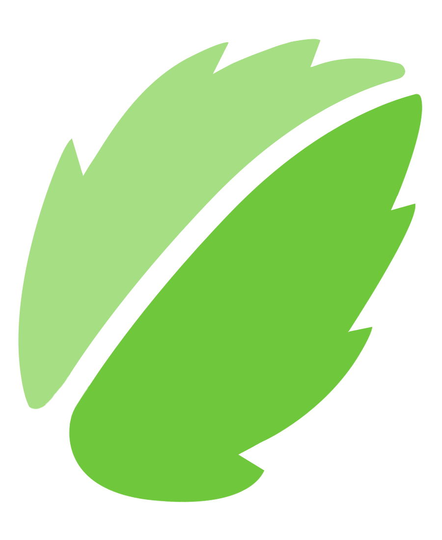 Menu Cinnamon Leaf Icons Green PNG