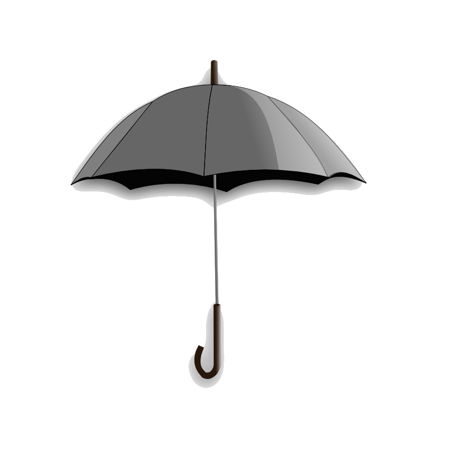 Umbrella Hood Guise Purview Motto PNG