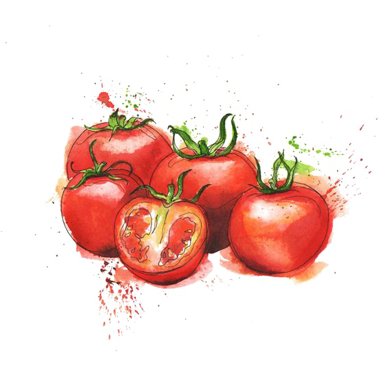 Italian Food Ingredient Vegetative Organic PNG