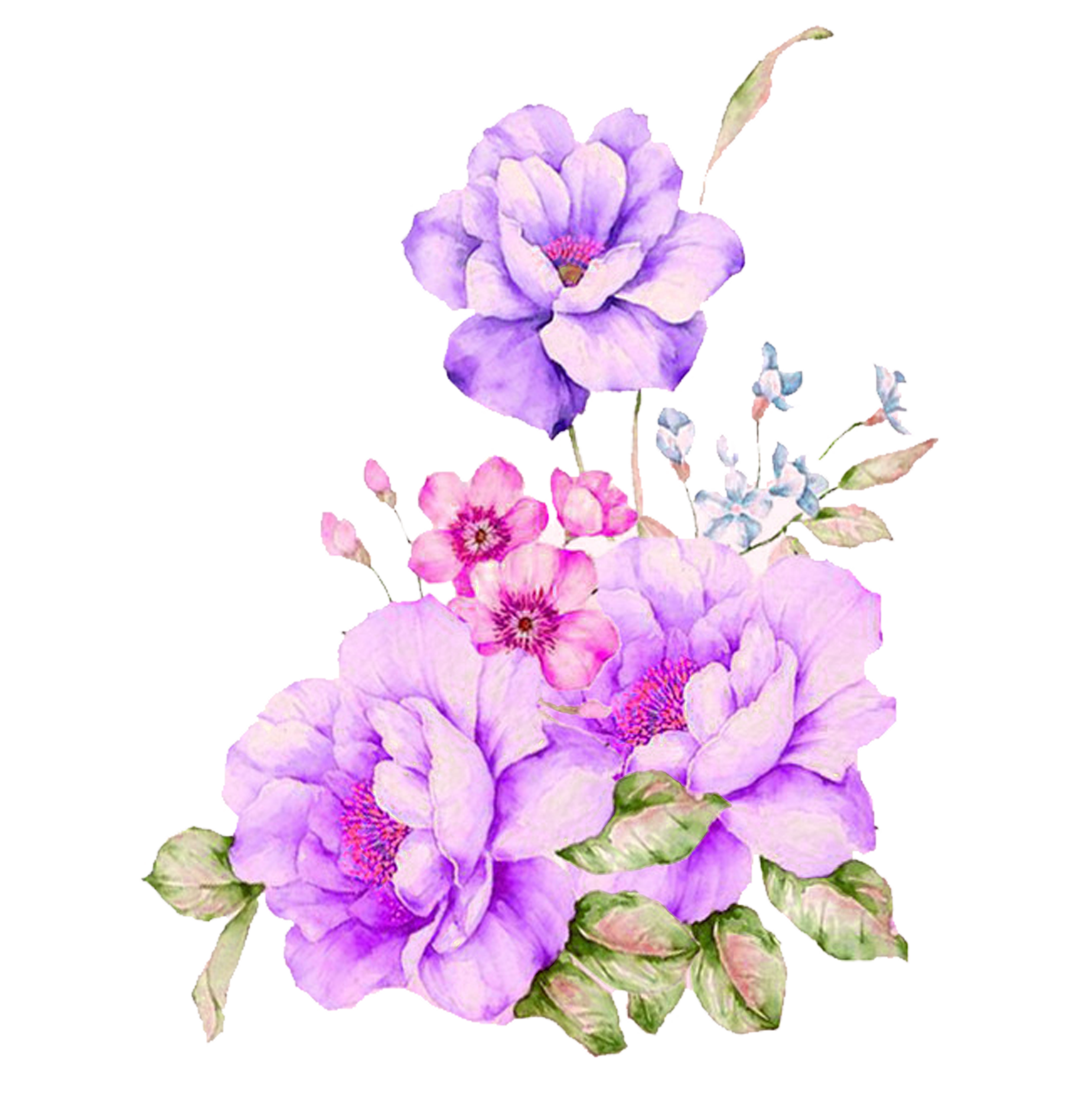 Violet Flower Plant Purple Painting PNG