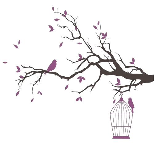 Quality Birdcage Bird Pink Cage PNG
