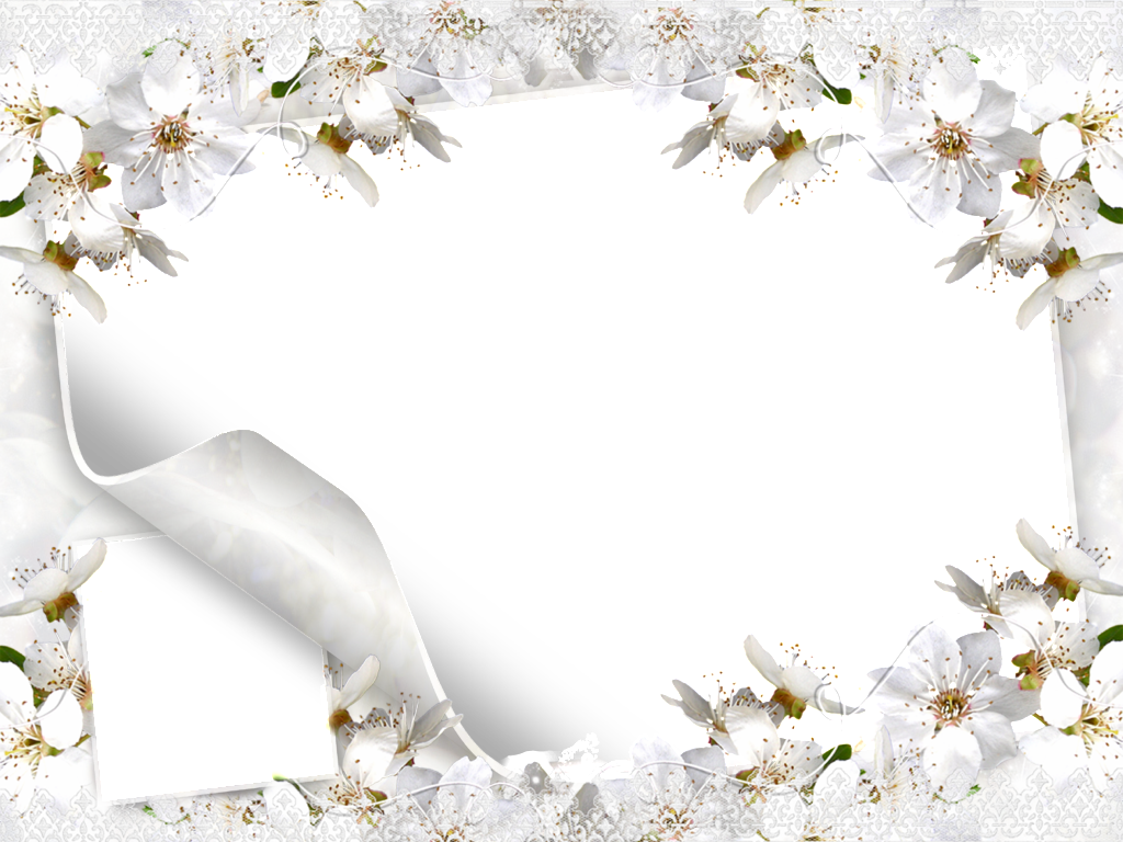 Wedding Flower Microsoft Wallpaper Blossom PNG