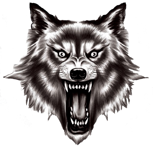 Werewolf Universe Gamer Sorcerer Galaxy PNG