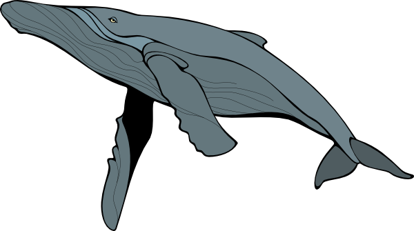 Dolphin Blue Cetacean Heavyweight Lizard PNG