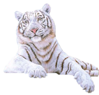 Green Wild Tiger Furry White PNG