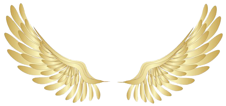 Halo Fly Angel File Tabs PNG