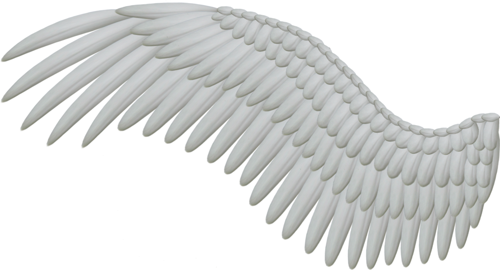 Wings Fenders Fantasy Flutter Handles PNG