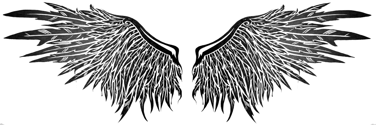 Stripes Tattoos Wings Fender Painting PNG