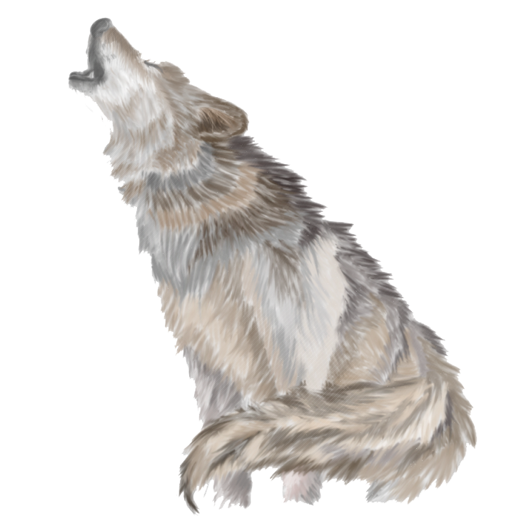 Wolves Rare Howl Cats Lion PNG