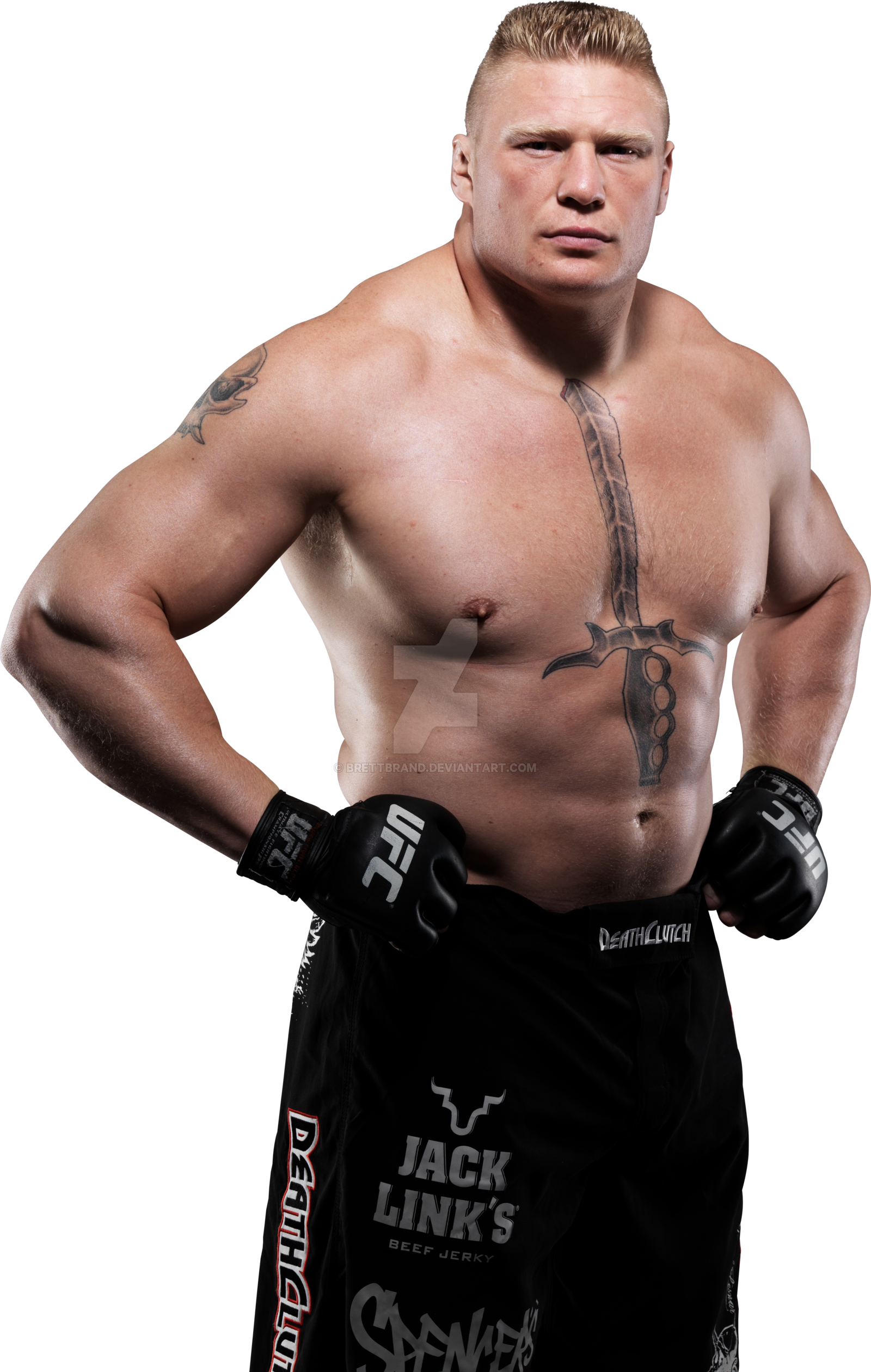 Couch Star Brock Lesnar Fun PNG