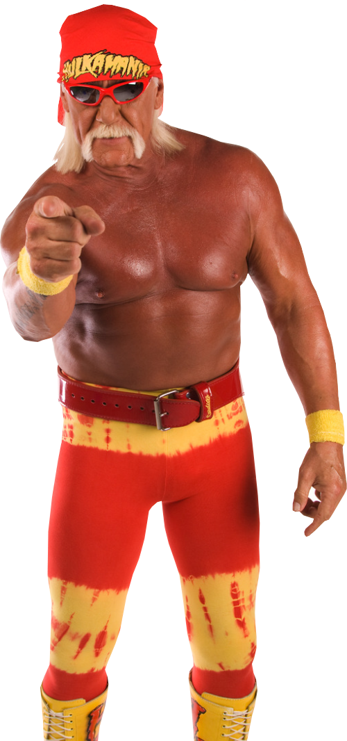 Training File Hogan Fans Hulk PNG
