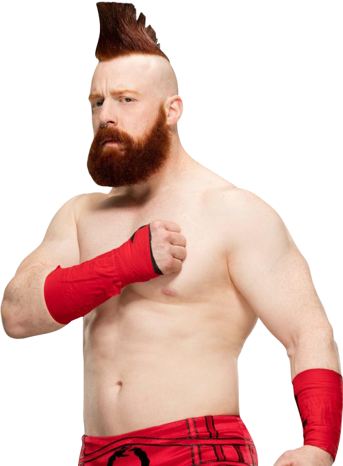 Money Sheamus Case Icon PNG