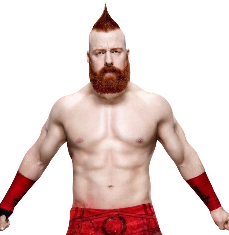 Sheamus Moment Food Misc Protector PNG