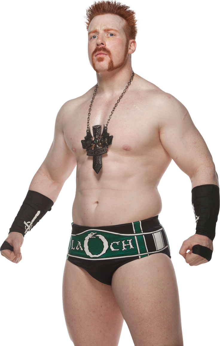 Abbreviation Health Sheamus Miscellaneously Total PNG