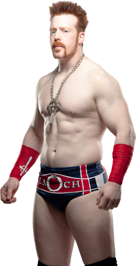 Protector Moment Sheamus Items PNG