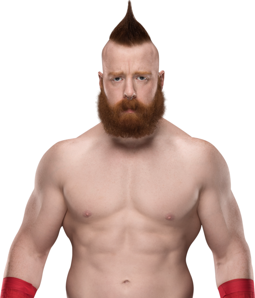 Sheamus Money Misc Nature Background PNG