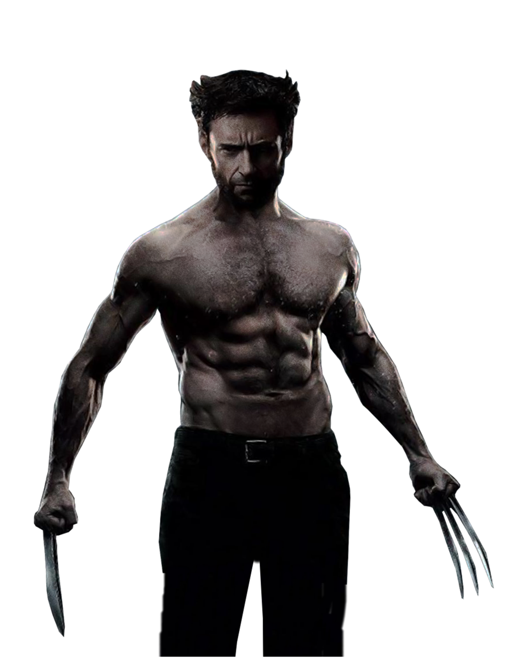 Wolverine Cat Videos PNG