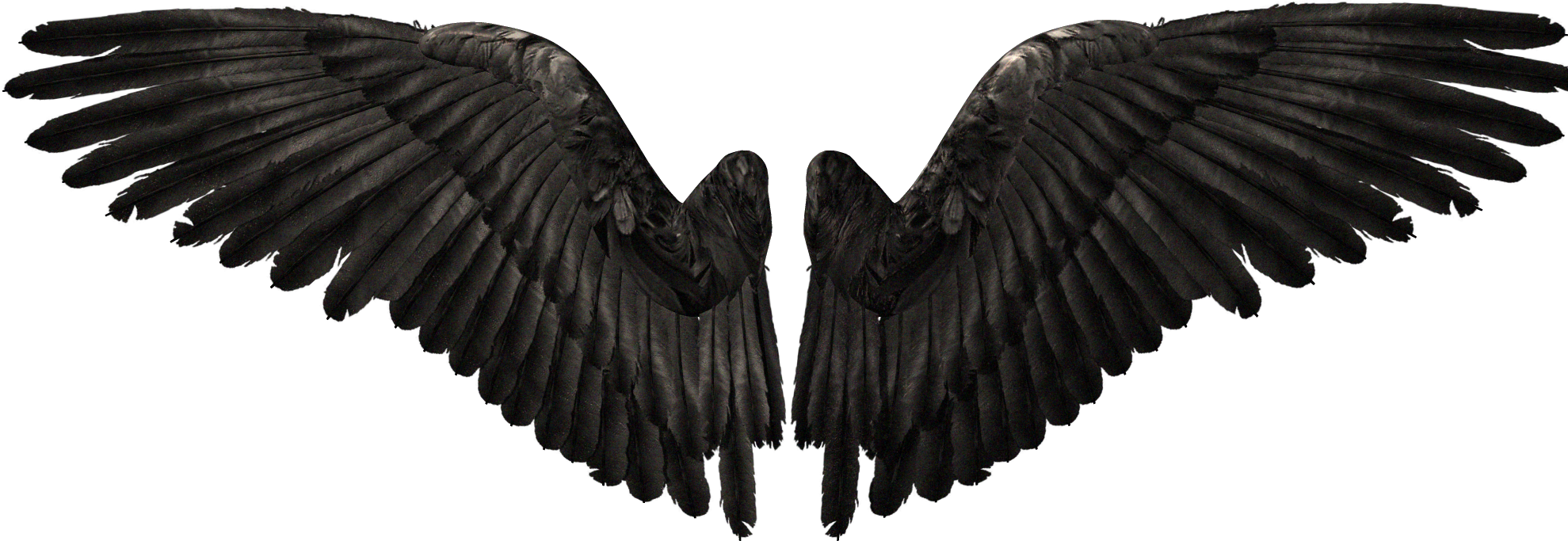 Beak Youtube Wings Wing Angel PNG