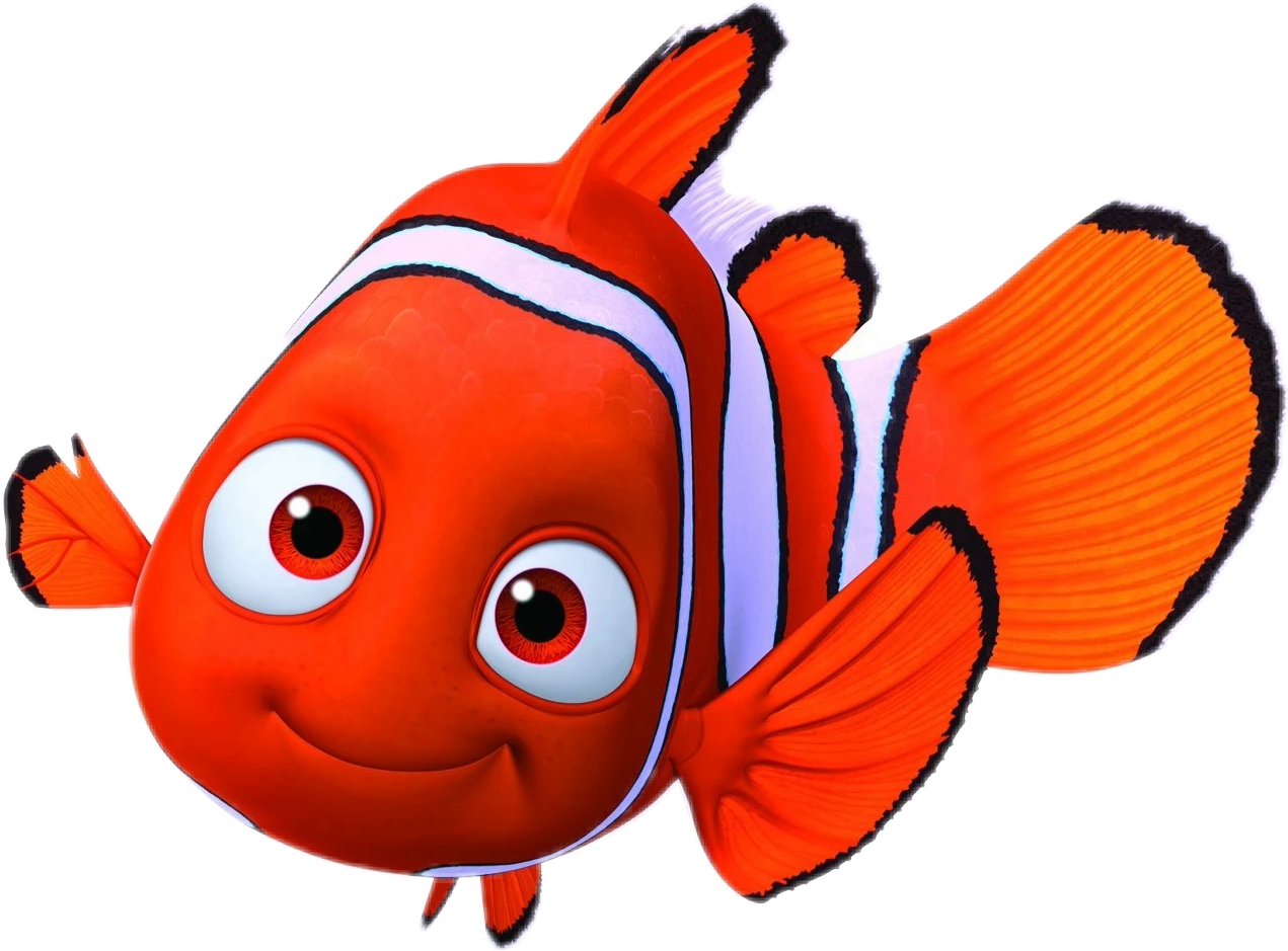 Nemo Seafood Drawing Vertebrate Film PNG